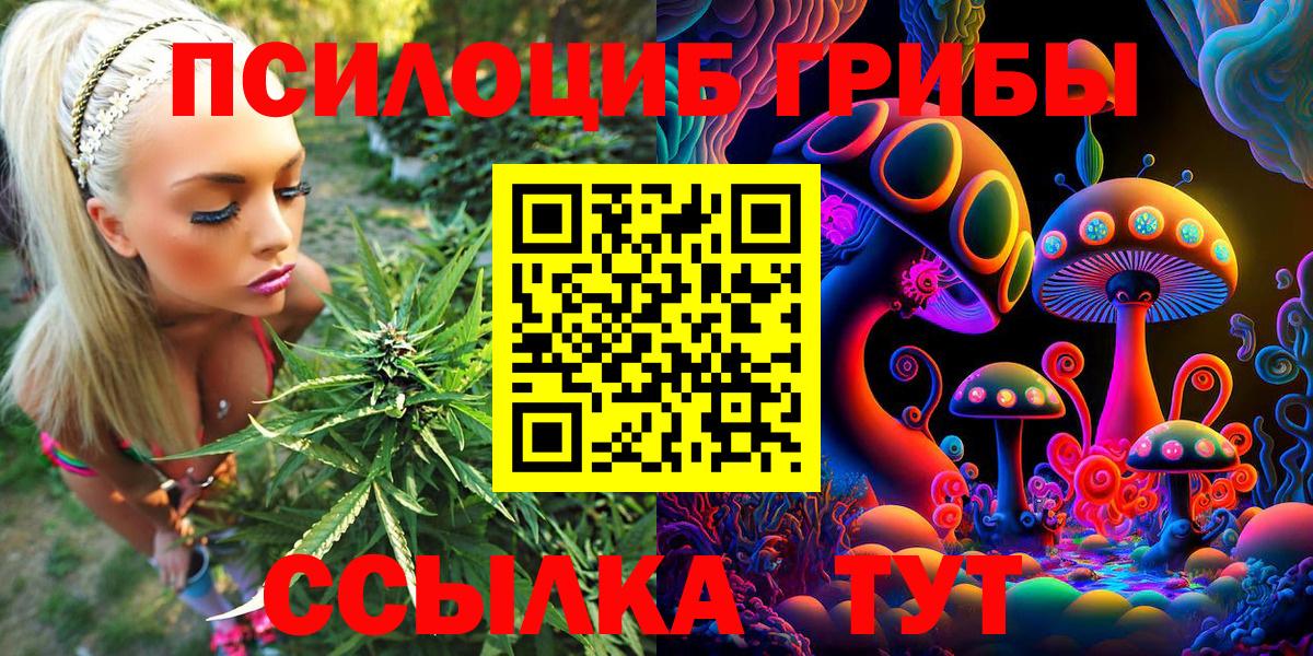 Галлюциногенные грибы Psilocybe Ржев