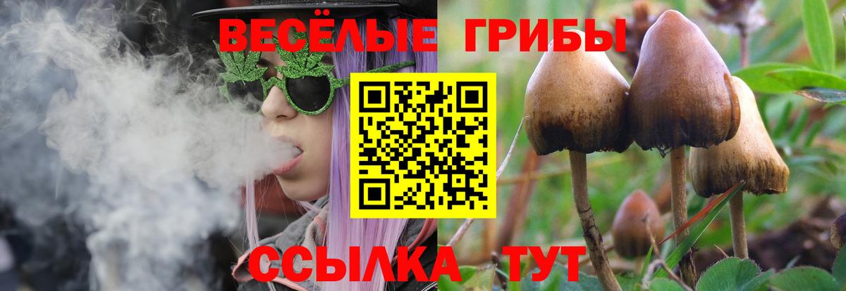 Ржев  Галлюциногенные грибы мухоморы  купить наркоту  Вход с VPN  Галлюциногенные грибы ЛСД 